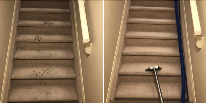 Stair carpet cleaning before and after in Halifax — stained steps next to refreshed steps